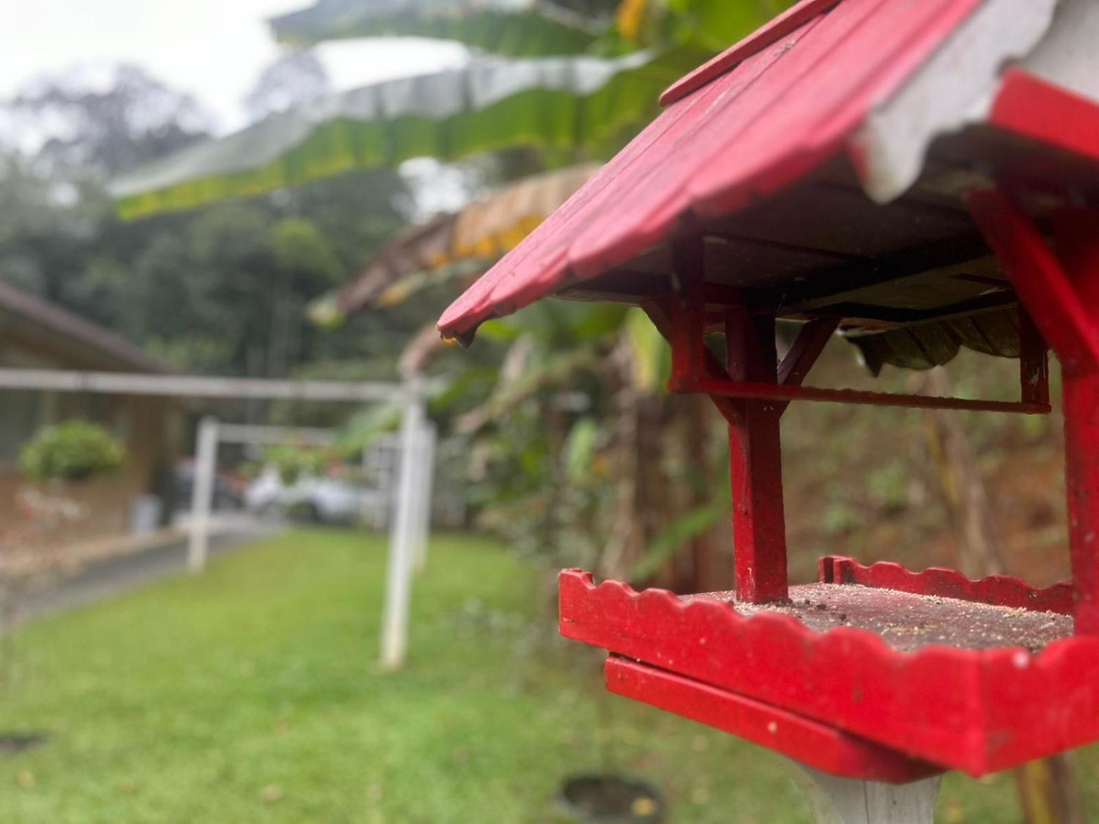 Bela Vista Hospedagem Joinville Bagian luar foto